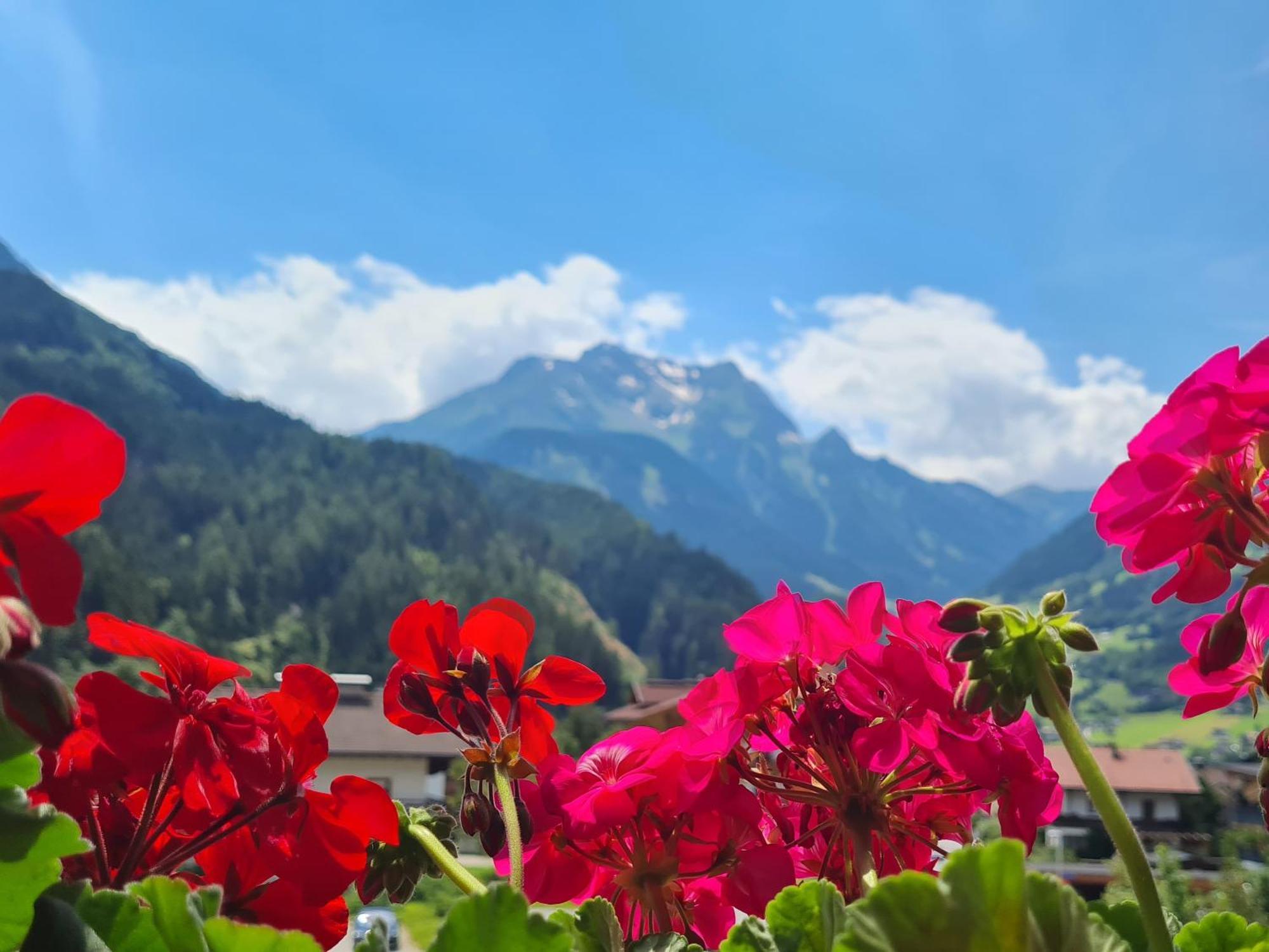 Hotel Scheulinghof à Mayrhofen Extérieur photo